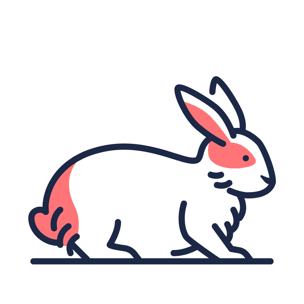 Conejo