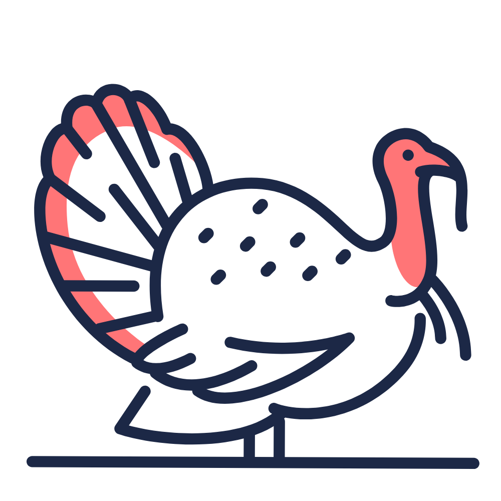Pavo